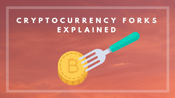 cryptocurrency forks explained